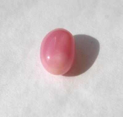 Pink Long Oval Pink Conch Pearl 2.40 carat