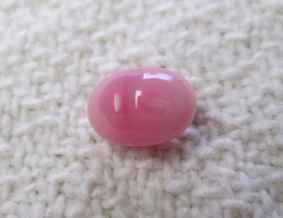 Pink Oval Conch Pearl