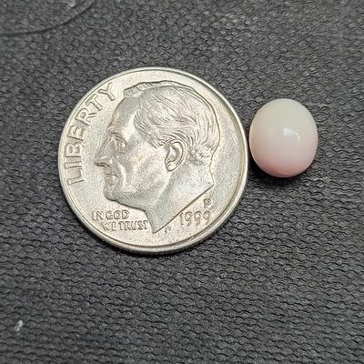 Pinkish clam pearl in seafood dish