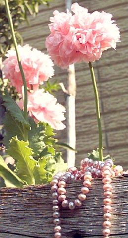 poppies and pearls
