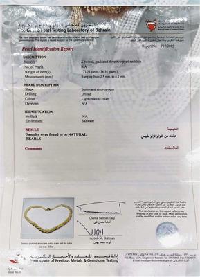 Bahrain Lab Certificate