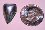 Natural Abalone Pearl