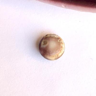 Purple Quahog Pearl 8mm Button 3 carats