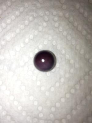 Quahog Pearl approximately 3 carats