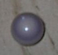 quahog pearl top view