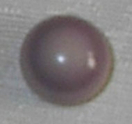 quahog pearl top view