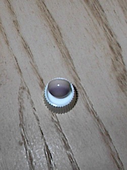 quahog pearl side view