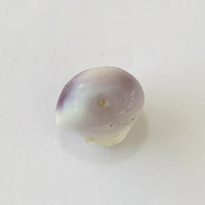 Quahog Pearl 3 Colors Baroque Button 12mm 8 carats