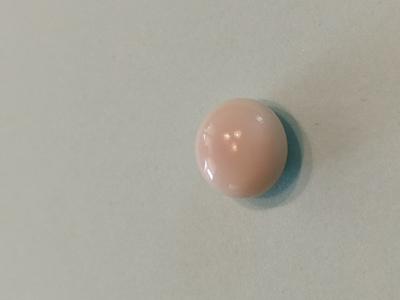 Quahog Pearl 6+ carats Perfect Button