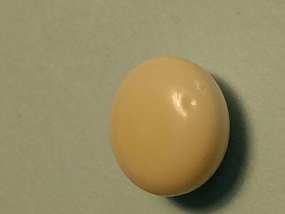 Quahog Pearl 6+ carats Perfect Button