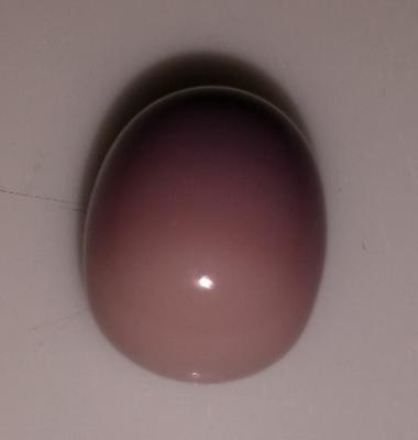 Quahog pearl - BBQ find