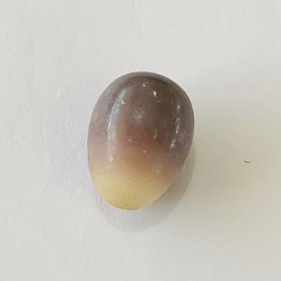 Quahog Pearl Egg Shape 9+ carats Multi-colored