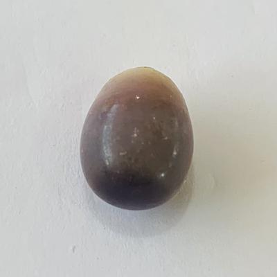 Quahog Pearl Egg Shape 9+ carats Multi-colored