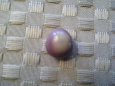 Purple & White Quahog Pearl