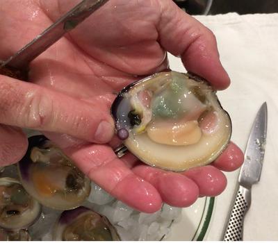 Alex Miller found his second purple pearl inside a shucked clam after he dug it out of Three Mile Harbor last week. Alex Miller
