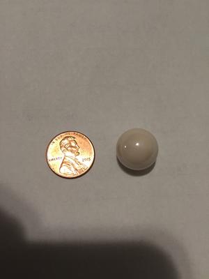 25 carat quahog pearl