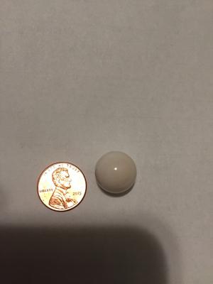 25 carat quahog pearl