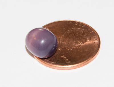 Quahog Pearl found in Little Neck Clam