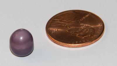 Quahog Pearl found in Little Neck Clam