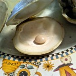 Little Neck clam shell pearl was found in