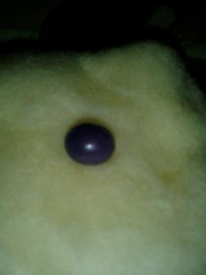 Quahog Pearl found in Fort Myers, Fl