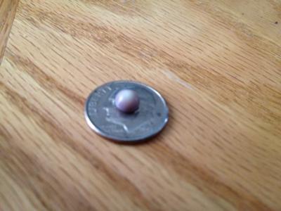 Quahog pearl  5.25mm