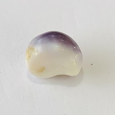 Quahog Pearl Lavender Baroque 4+ carats 10mm