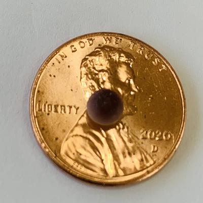 Quahog Pearl Lavender Perfect Button Shape 4mm