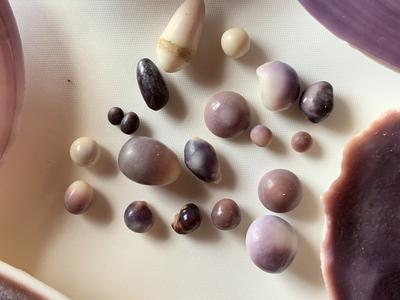 Quahog pearl collection 