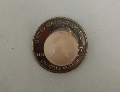 Queen Helmet Cassis Pearl 19.18CT