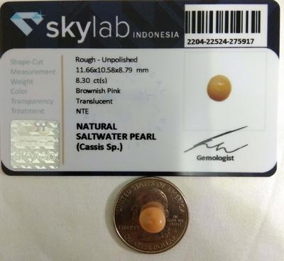 Queen Helmet Cassis Pearl 8.30CT