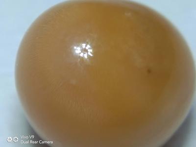 Queen Helmet Cassis Pearl 8.30CT