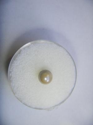 Rare 1+ carat natural pearl from Mozambique