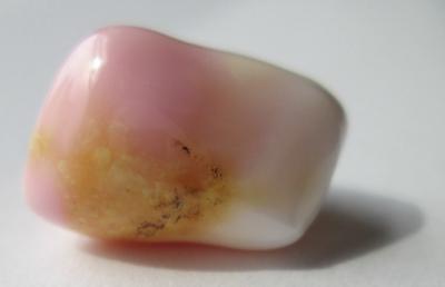 19 carat conch pearl
