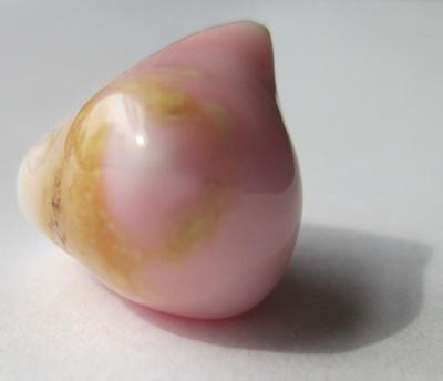19 carat conch pearl