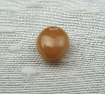 Rare Brown Conch Pearl Perfect Surface Oval 7mm
