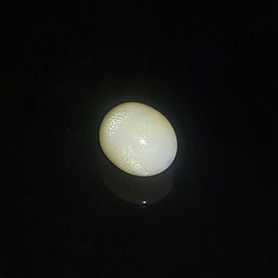 Rare Clam Pearl 3.7 ct With Flame