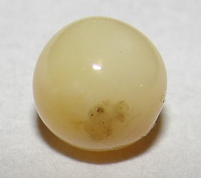 1.1 carat conch pearl