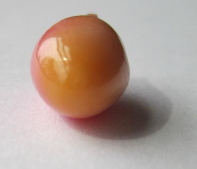 8.68 carat conch pearl