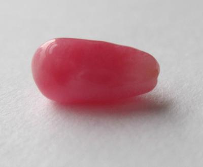 1.25 carat conch pearl