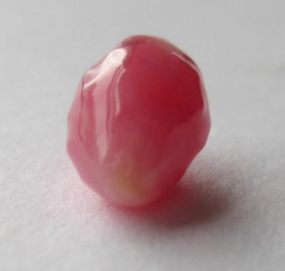 1.84 carat conch pearl