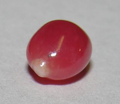 0.70 carat conch pearl