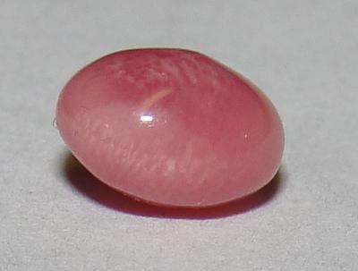 0.95 carat conch pearl