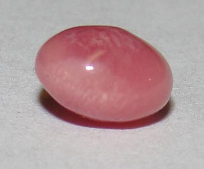 0.95 carat conch pearl