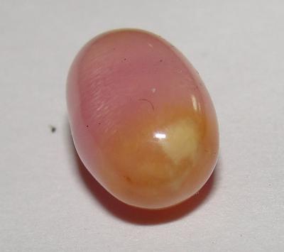 Rare Pink Conch Pearl