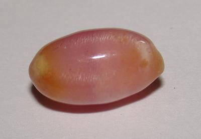 Rare Pink Conch Pearl