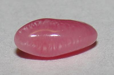 0.50 carat pink conch pearl