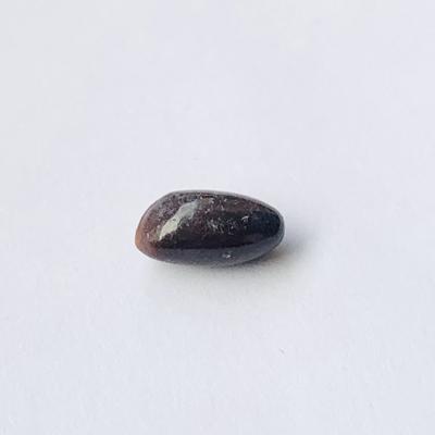 Rare Quahog Elongated Dark Purple 11mm 2+ carats