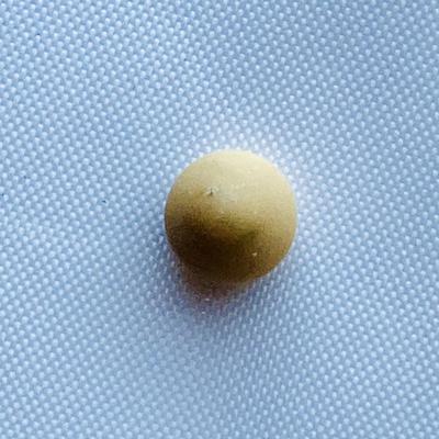 Rare Quahog Pearl Button shape 5mm Light Brown