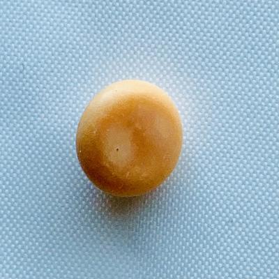 Rare Quahog Pearl - Peach colored Button